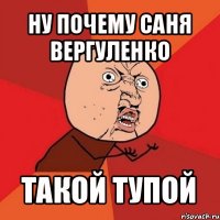 ну почему саня вергуленко такой тупой