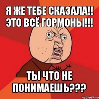 я же тебе сказала!! это всё гормоны!!! ты что не понимаешь???