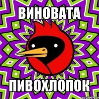 виновата пивохлопок