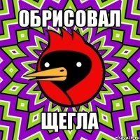 обрисовал щегла