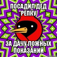 посадил дед репку за дачу ложных показаний