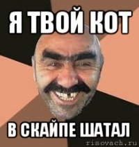 я твой кот в скайпе шатал