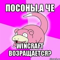 посоны,а че wincraft возращается?