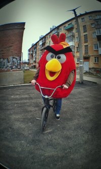 they see me rollin they hatin, Комикс  Angry bird на велике