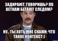 задирают, говоришь? по веткам бегают следом? ну.. ты хоть мне скажи: что такое контекст;)