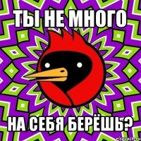 ты не много на себя берёшь?