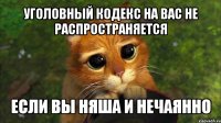 уголовный кодекс на вас не распространяется если вы няша и нечаянно