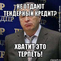 не отдают тендерный кредит? хватит это терпеть!