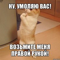 ну, умоляю вас! возьмите меня правой рукой!