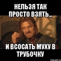 нельзя так просто взять... и всосать муху в трубочку