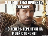 я не мог тебя пробить, глеборг... но теперь терентий на моей стороне!