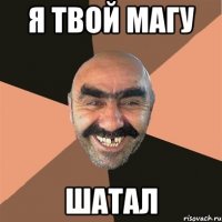 я твой магу шатал