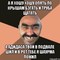 а я хошу хошу опять по крышам бэгать и труба щатать а адидаса твой в подвале шил и в рот тебе я шаурма ложил