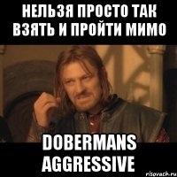 нельзя просто так взять и пройти мимо dobermans aggressive