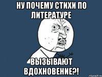 ну почему стихи по литературе вызывают вдохновение?!