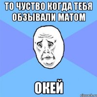 то чуство когда тебя обзывали матом окей