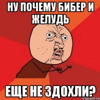 ну почему бибер и желудь еще не здохли?