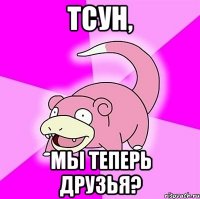 тсун, мы теперь друзья?