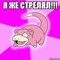 я же стрелял!!! 