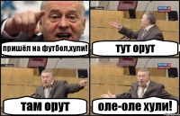 пришёл на футбол,хули! тут орут там орут оле-оле хули!