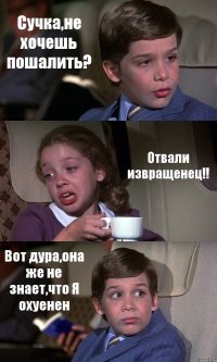 Сучка,не хочешь пошалить? Отвали извращенец!! Вот дура,она же не знает,что Я охуенен