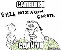 сапешко сдай уп