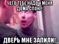 чего тебе надо у меня дома слон? дверь мне запили!