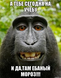 а тебе сегодня на учебу и да,там ебаный мороз!!!