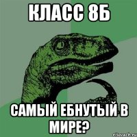 класс 8б самый ебнутый в мире?