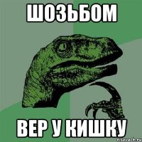 шозьбом вер у кишку