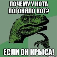 почему у кота погоняло кот? если он крыса!