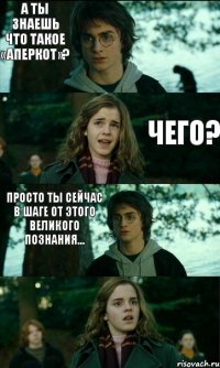 А ты знаешь что такое «аперкот»?  Чего? Просто ты сейчас в шаге от этого великого познания…