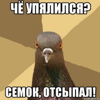 чё упялился? семок, отсыпал!