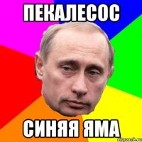 пекалесос синяя яма