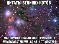 цитаты великих котов . мастер. кто сказал мастер ?! мастер !!! мааааастееер!!! - соня , кот мастера