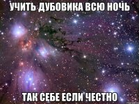 учить дубовика всю ночь так себе если честно