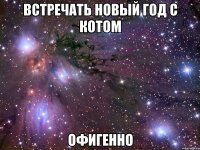 встречать новый год с котом офигенно