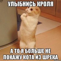 улыбнись кроля а то я больше не покажу кота из шрека