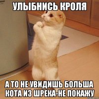 улыбнись кроля а то не увидишь больша кота из шрека-не покажу