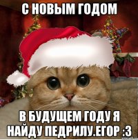 с новым годом в будущем году я найду педрилу.егор :3