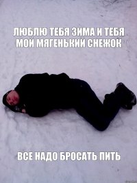 люблю тебя зима и тебя мой мягенький снежок все надо бросать пить