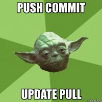 push commit update pull