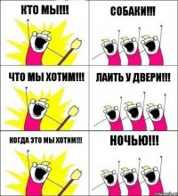 Кто мы!!! Собаки!!! Что мы хотим!!! Лаить у двери!!! Когда это мы хотим!!! Ночью!!!