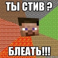 ты стив ? блеать!!!