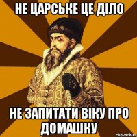 не царське це діло не запитати віку про домашку