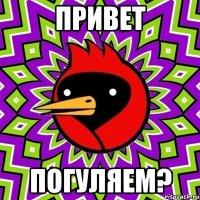 привет погуляем?