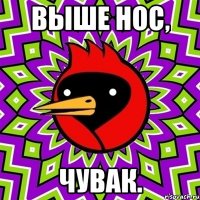 выше нос, чувак.