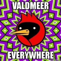 valdmeer everywhere