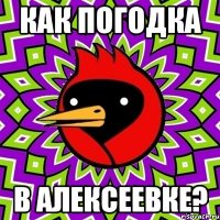 как погодка в алексеевке?