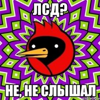 лсд? не, не слышал